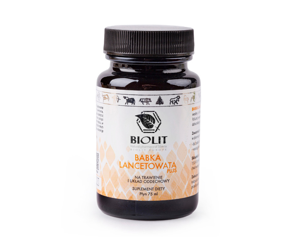 Babka Lancetowata Plus